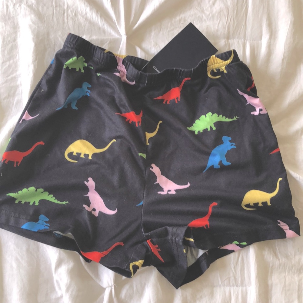 Brandy Melville Dino Shorts